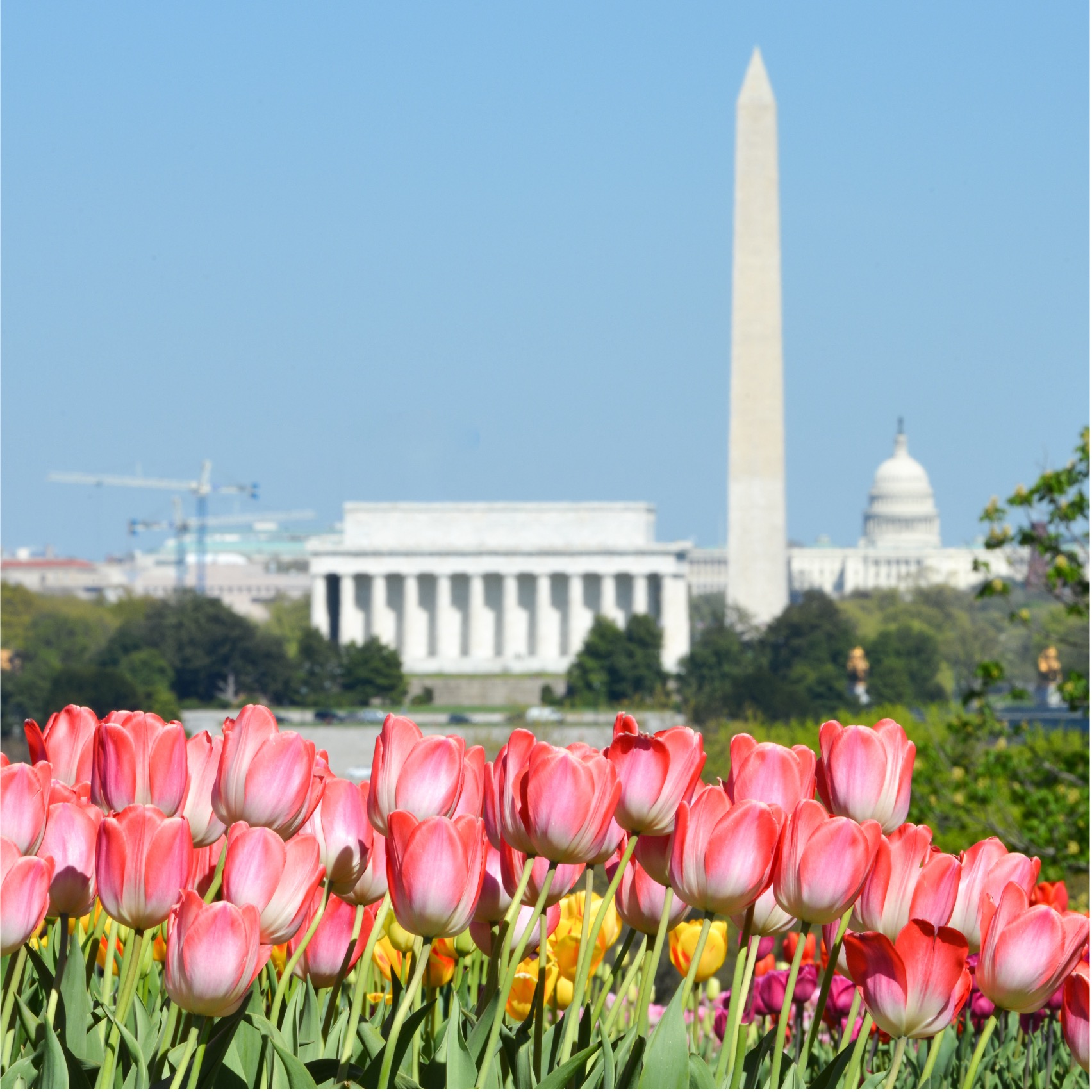 Washington, DC