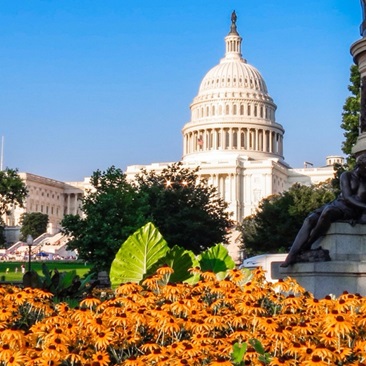 Washington-DC-Capitol.jpg